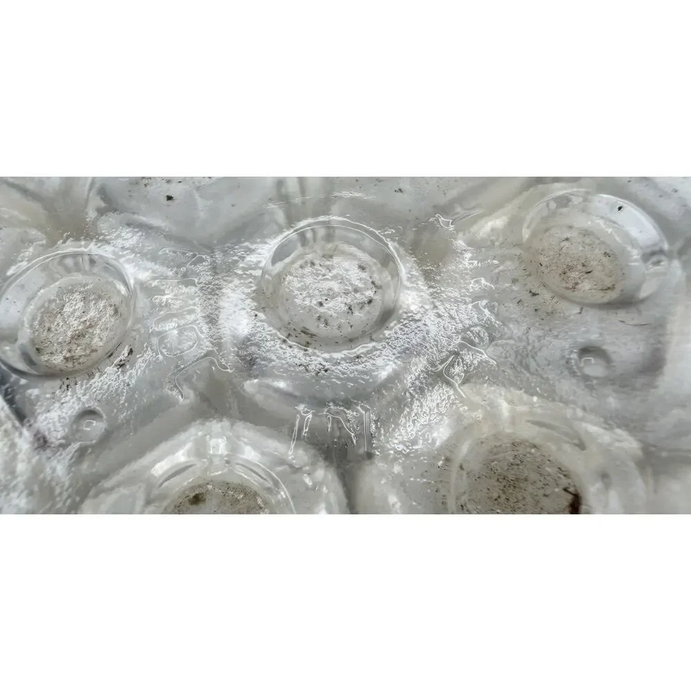 Reims Clear Glass 4.5” Floral Frog France w Silver Plate Base by de Uberti Italy